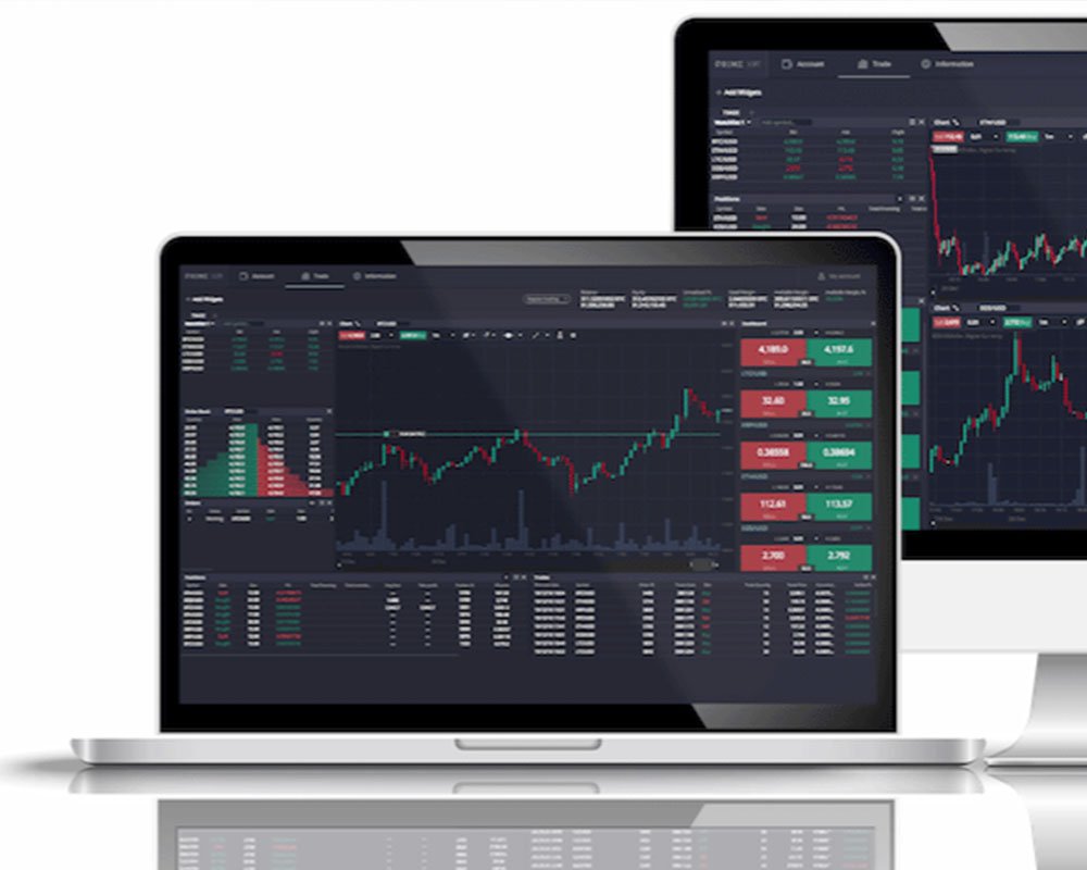Coin Asset Limited Bitcoin Company